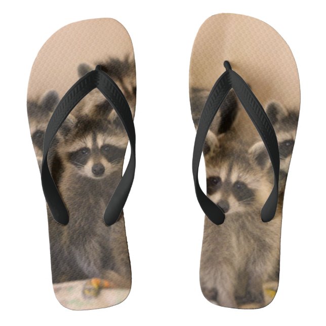 Raccoon flip Flops. Flops (Fußbett)