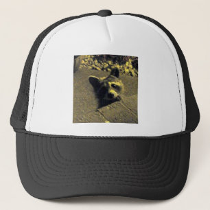 Raccoon ~ Gesicht eines Engels Truckerkappe