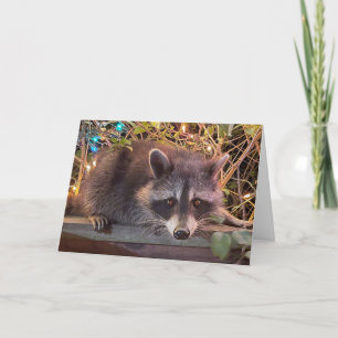 Raccoon Happy Birthday Card für alle Karte