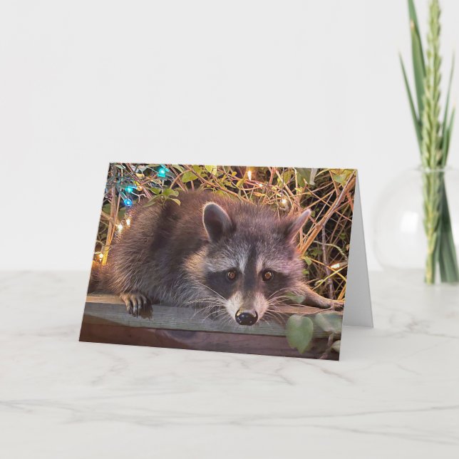 Raccoon Happy Birthday Card für alle Karte (Vorderseite)