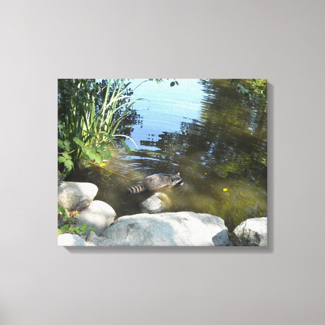 Raccoon im Strom Leinwanddruck (Vorderseite)
