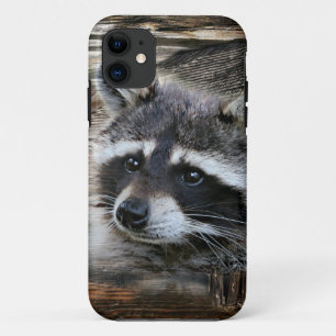 Raccoon in der alten Scheune Case-Mate iPhone Hülle