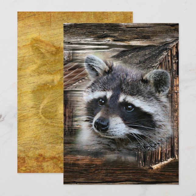 Raccoon in der alten Scheune Einladung (Vorne/Hinten)