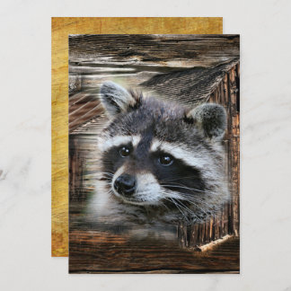 Raccoon in der alten Scheune Einladung