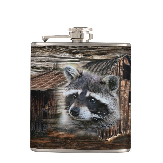 Raccoon in der alten Scheune Flachmann (Vorderseite)