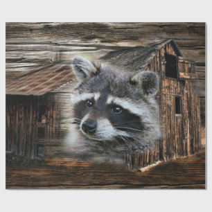 Raccoon in der alten Scheune Geschenkpapier