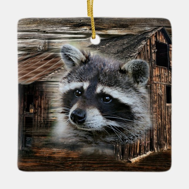 Raccoon in der alten Scheune Keramikornament (Vorderseite)