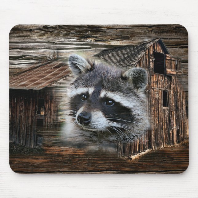 Raccoon in der alten Scheune Mousepad (Vorne)