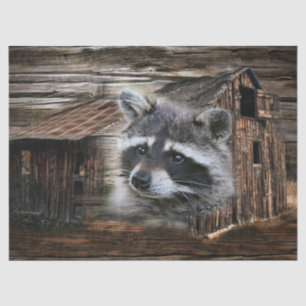 Raccoon in der alten Scheune Seidenpapier