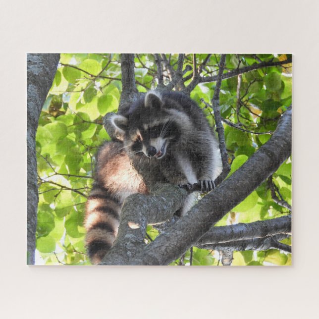 Raccoon in einem Baum Puzzle (Horizontal)