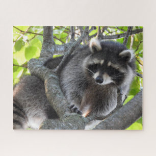 Raccoon in einem Baum Puzzle