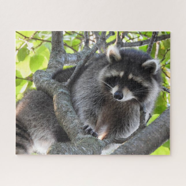Raccoon in einem Baum Puzzle (Horizontal)