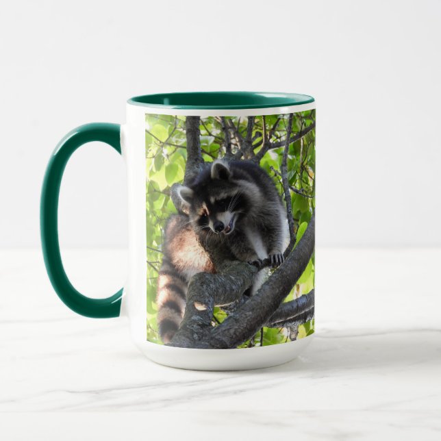 Raccoon in einem Baum Tasse (Links)