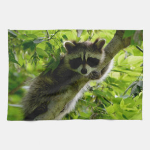 Raccoon in Green Tree Niedlich grau maskierte Marm Geschirrtuch