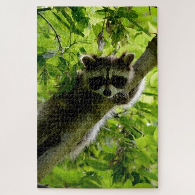 Raccoon in Green Tree Niedlich grau maskierte Marm Puzzle (Vertikal)