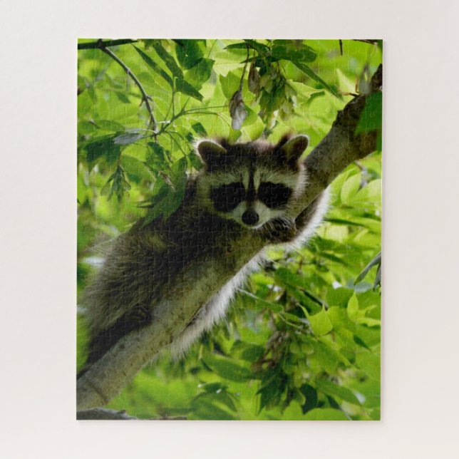 Raccoon in Green Tree Niedlich grau maskierte Marm Puzzle (Vertikal)