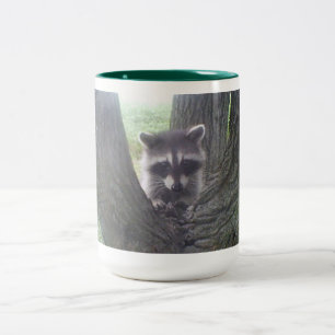 Raccoon in Tree Zweifarbige Tasse