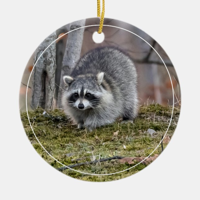 Raccoon Keramik Ornament (Vorne)