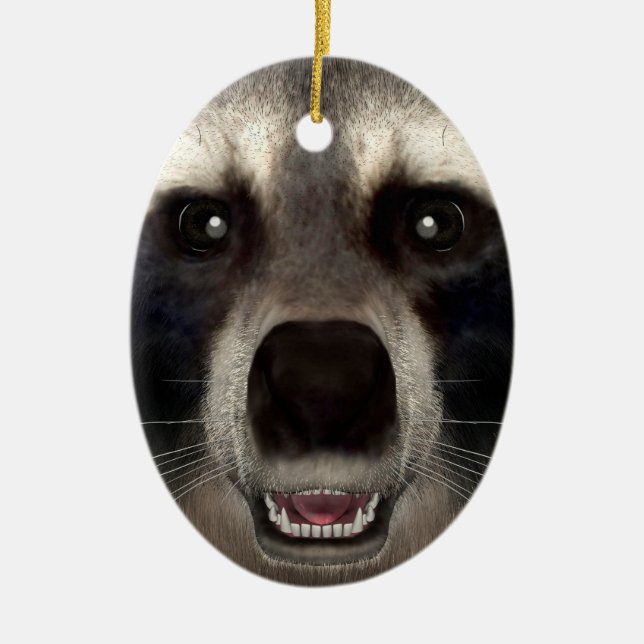 Raccoon Keramik Ornament (Vorne)