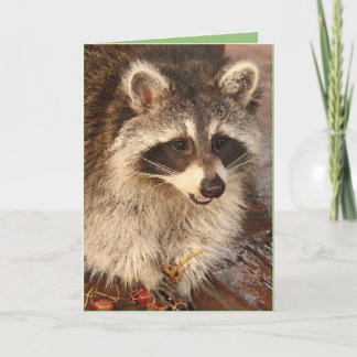 Raccoon-Kit mit leerer Notizkarte Karte