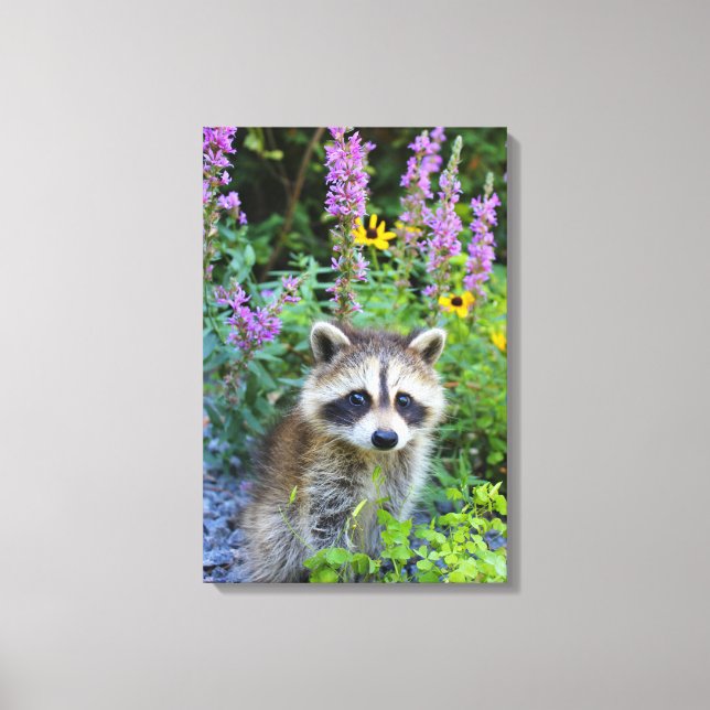 Raccoon Kit unter den Blume Leinwand drucken. (Vorderseite)