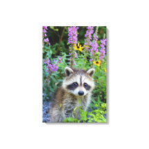 Raccoon Kit unter den Blume Leinwand drucken.