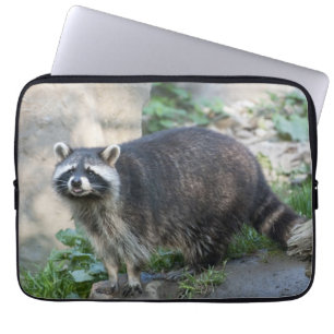 Raccoon Laptopschutzhülle