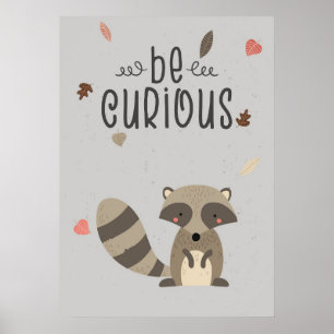 Raccoon Lover Be Neugieriges Raccoon Poster
