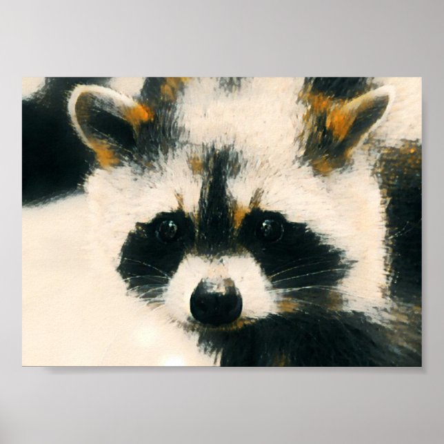 Raccoon Lover Poster (Vorne)