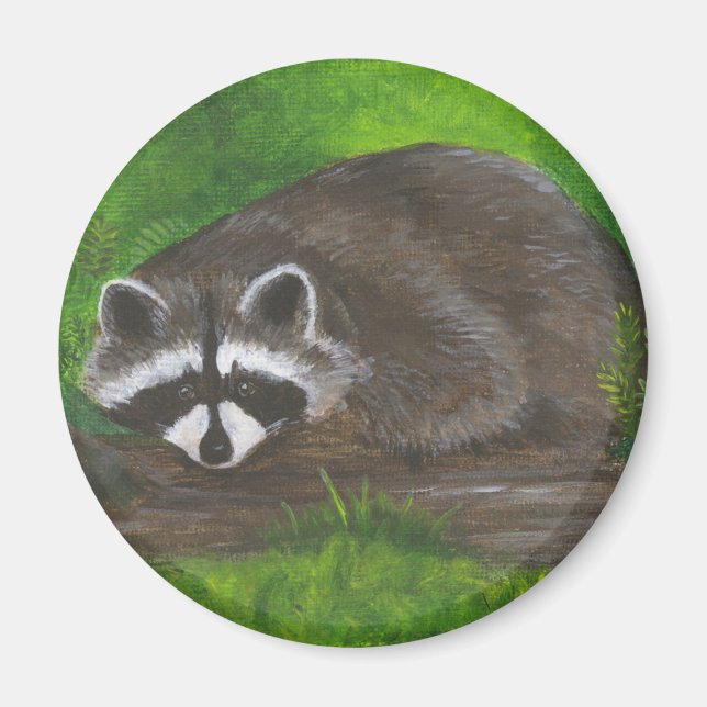 Raccoon Magnet (Vorne)