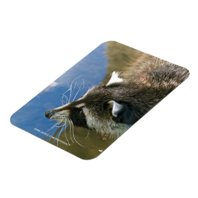 Raccoon Magnet (Linke Seite)
