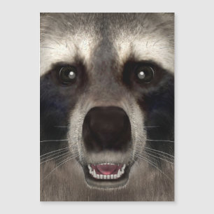 Raccoon Magnetkarte
