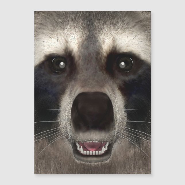Raccoon Magnetkarte (Vorderseite)