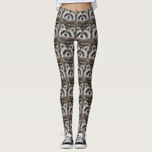 Raccoon-Malerei Leggings