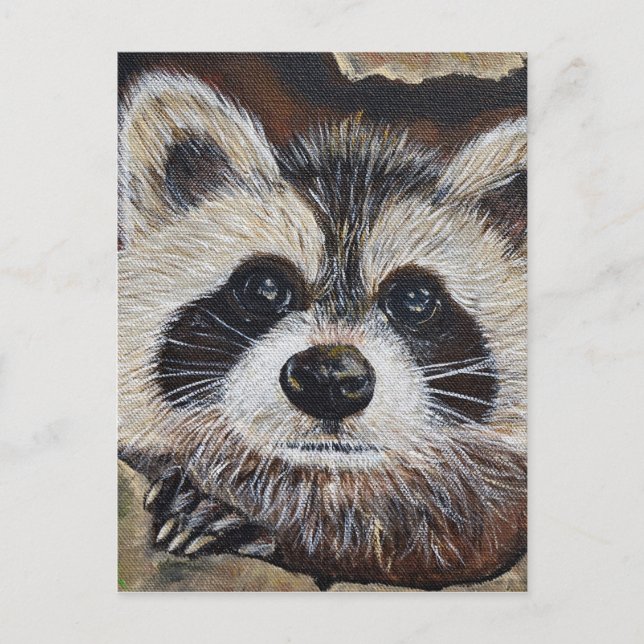 Raccoon-Malerei Postkarte (Vorderseite)