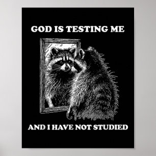 Raccoon Meme Funny Sprichwort God Teste Me Street Poster