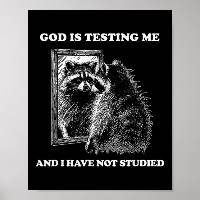 Raccoon Meme Funny Sprichwort God Teste Me Street Poster (Vorne)