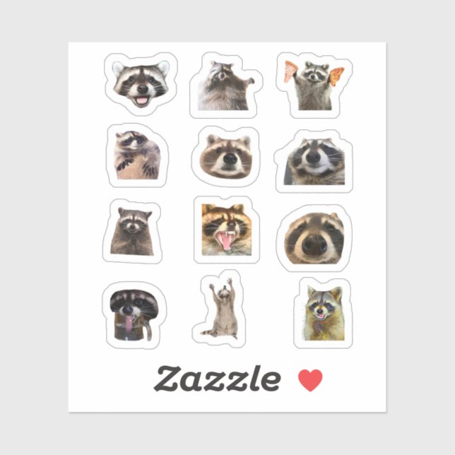 Raccoon Meme Funny Sticker Set Bundle (Blatt)