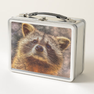 Raccoon Metall Lunch Box