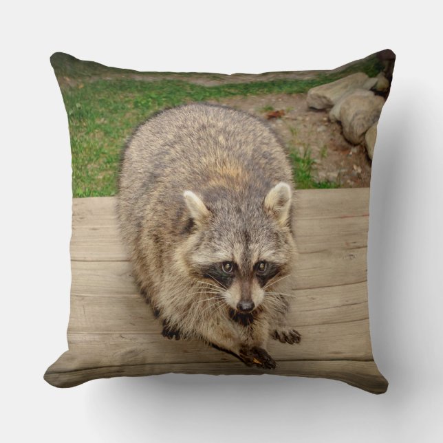 Raccoon mit Chip Kissen (Vorderseite)