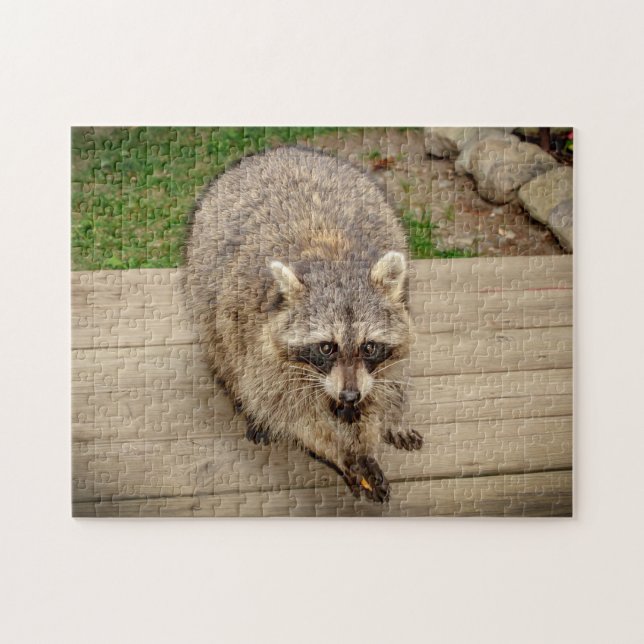 Raccoon mit Chip Puzzle (Horizontal)