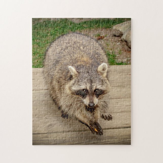Raccoon mit Chip Puzzle (Vertikal)