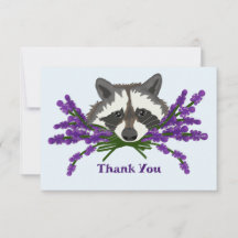 Raccoon mit Lavendel