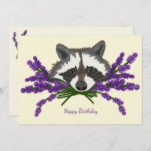Raccoon mit Lavendel