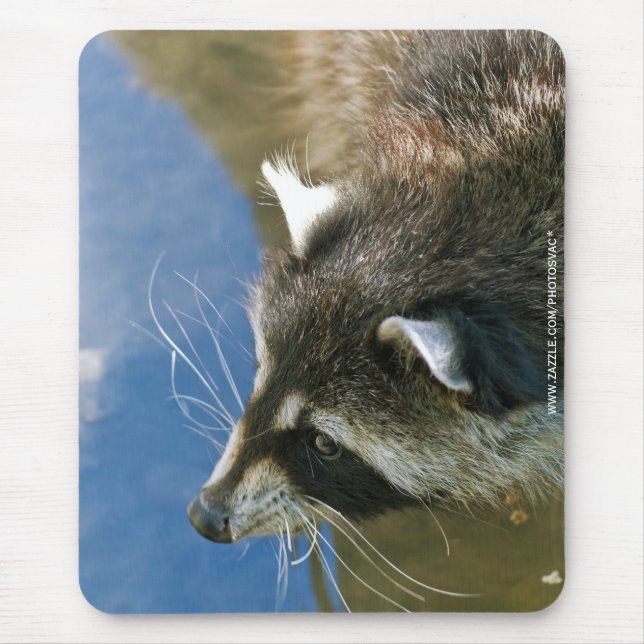 Raccoon Mousepad (Vorne)