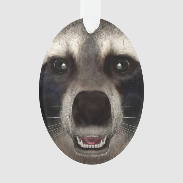 Raccoon Ornament (Vorderseite)