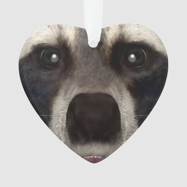 Raccoon Ornament (Vorderseite)