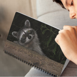 Raccoon Peeking von Behind Tree Nature Foto Notizblock