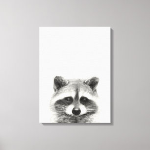 Raccoon Pencil Zeichnend Leinwanddruck
