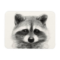 Raccoon Pencil Zeichnend